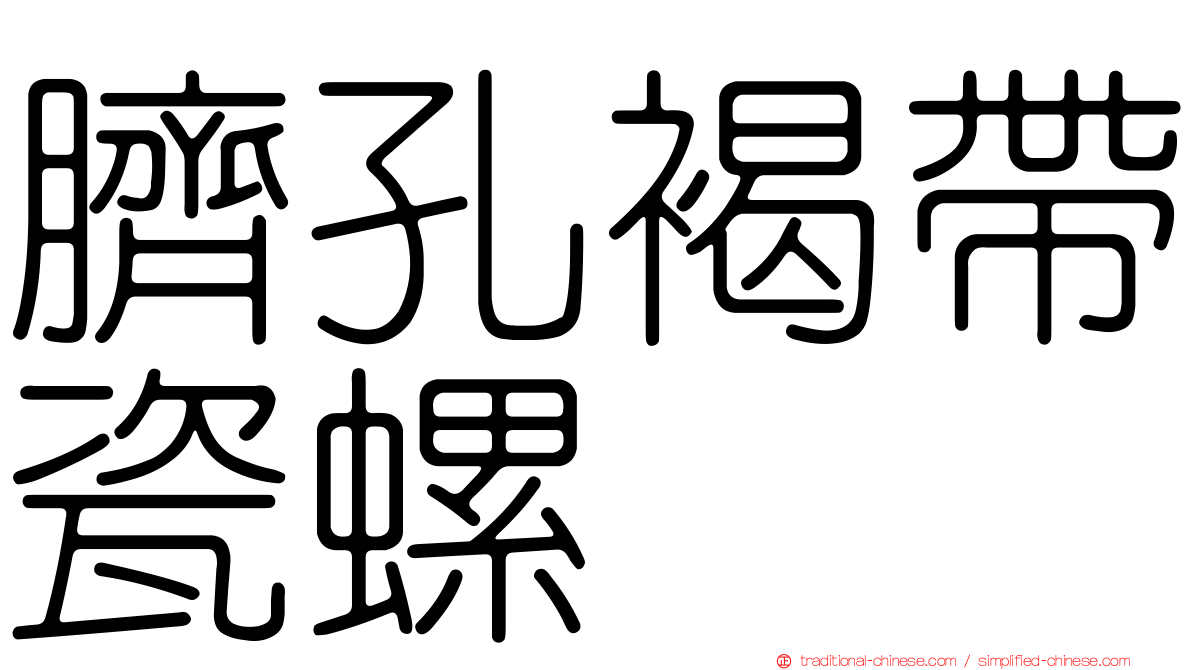 臍孔褐帶瓷螺