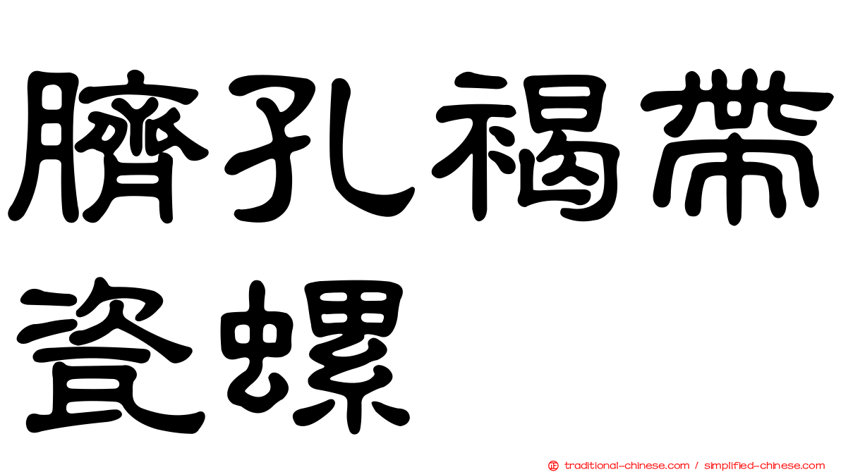 臍孔褐帶瓷螺