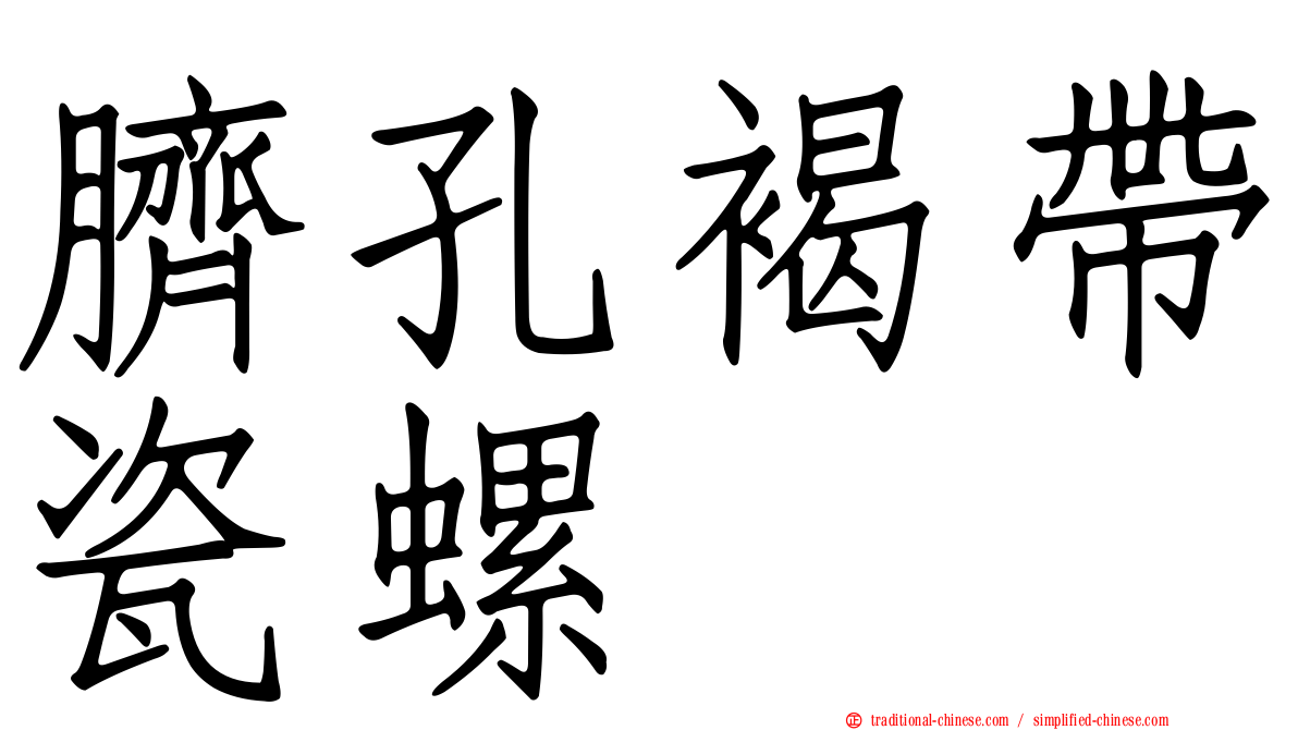 臍孔褐帶瓷螺