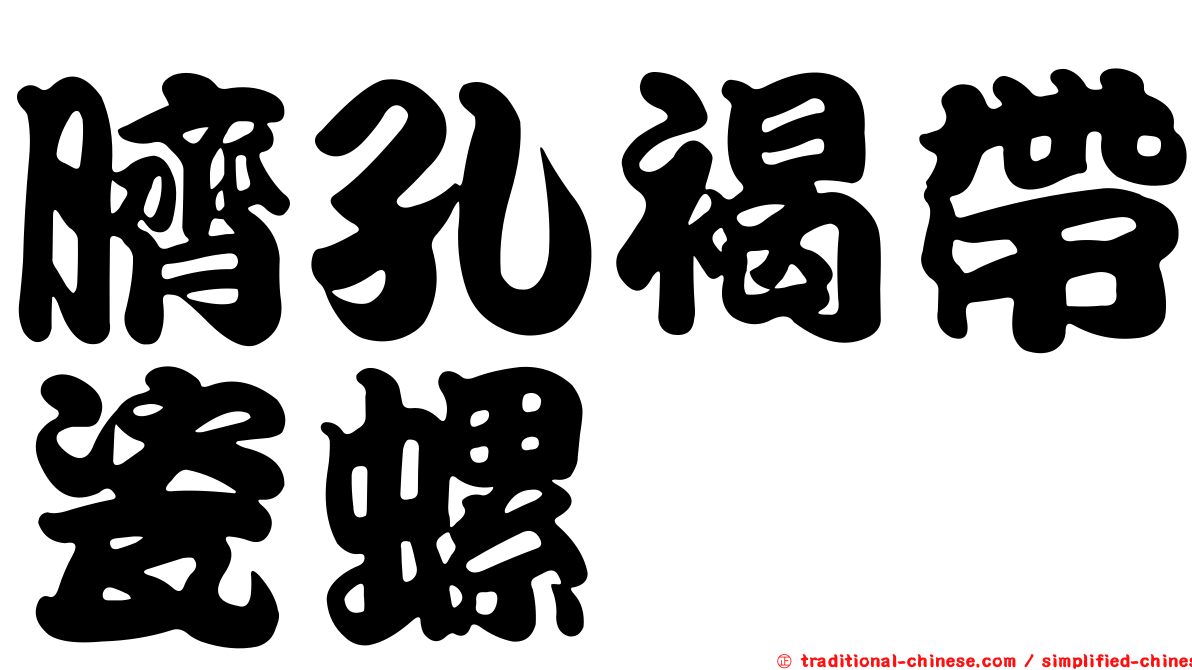 臍孔褐帶瓷螺