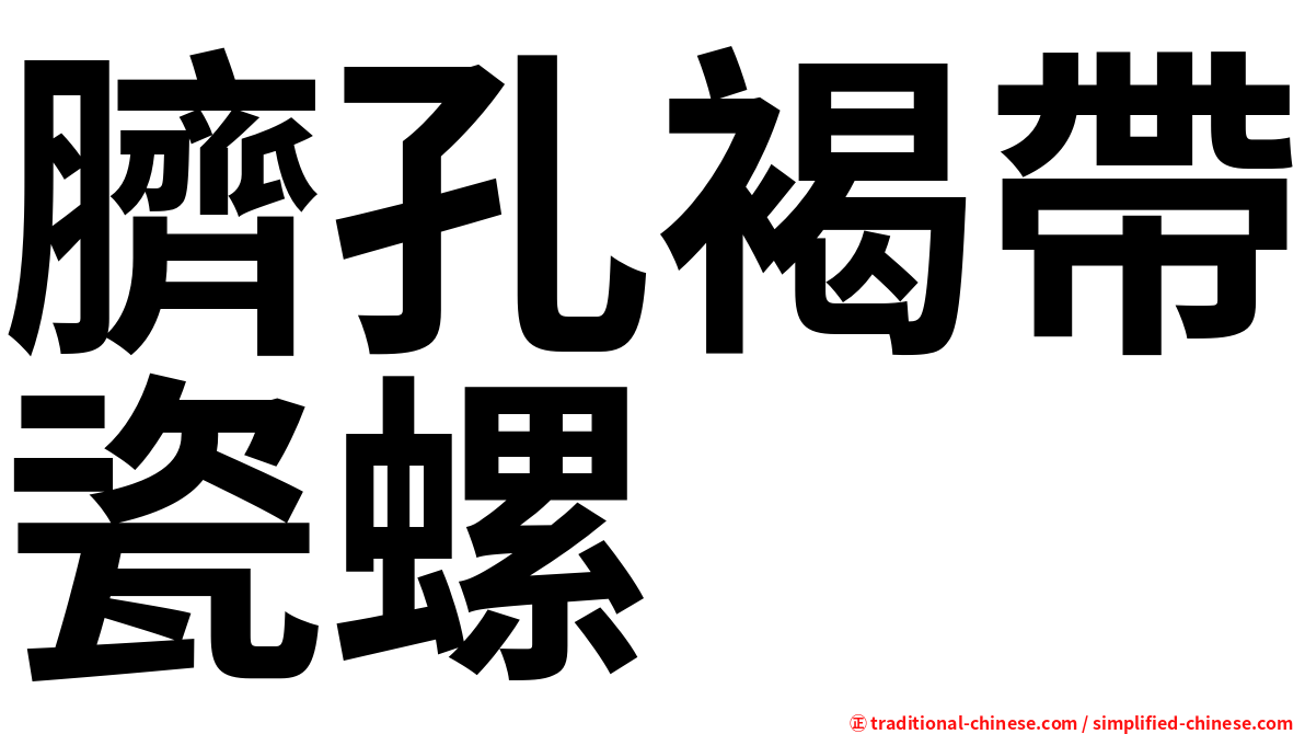 臍孔褐帶瓷螺