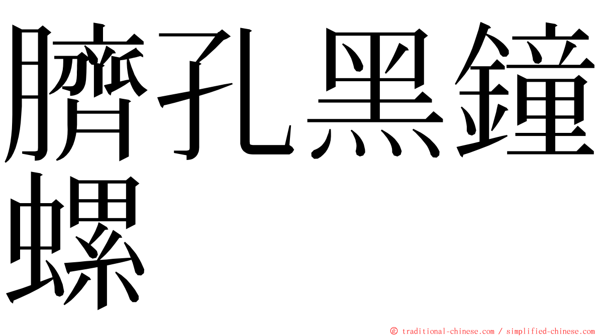 臍孔黑鐘螺 ming font