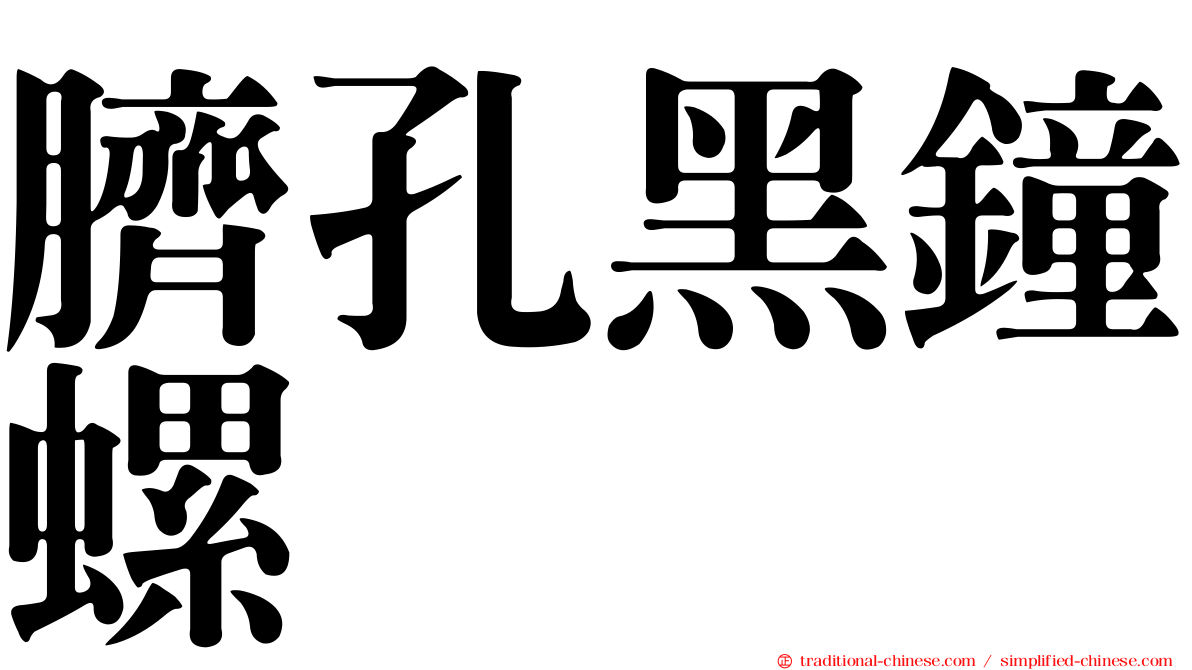 臍孔黑鐘螺