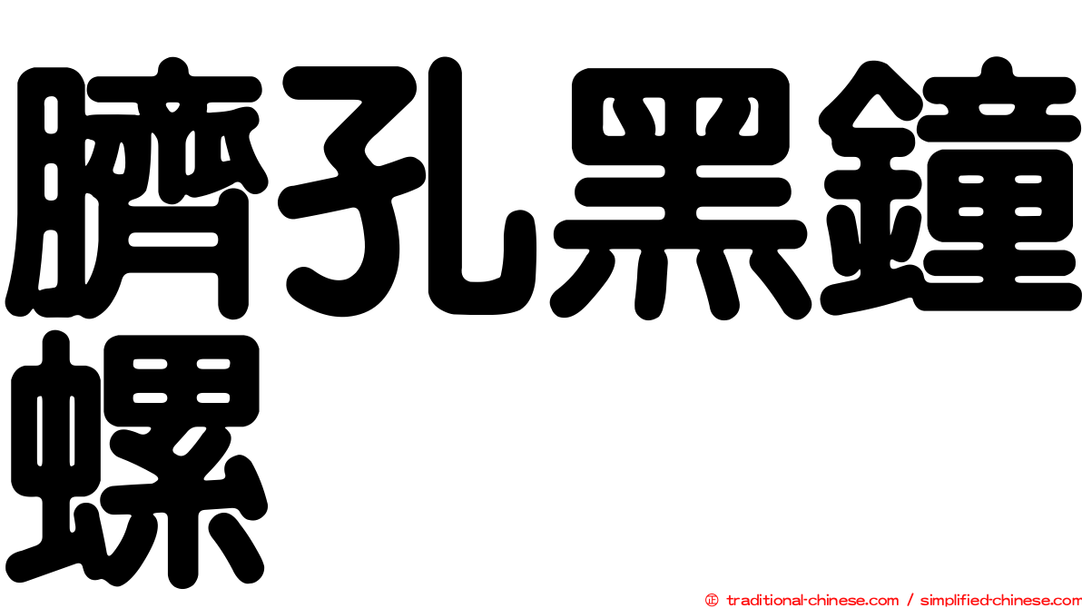 臍孔黑鐘螺