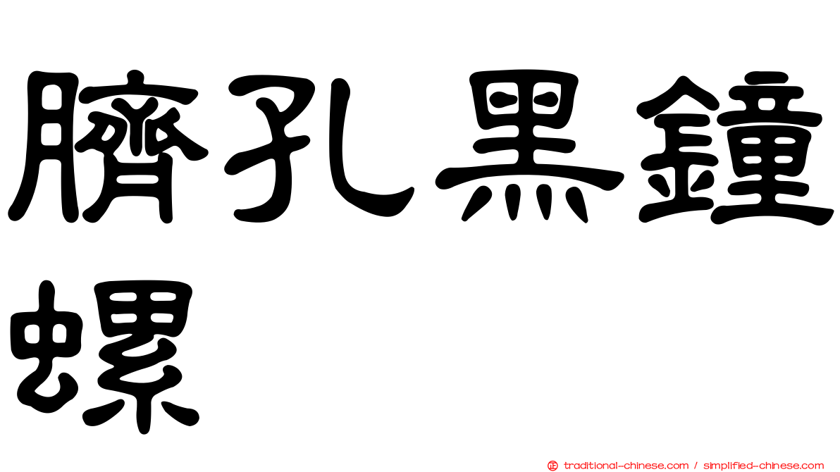 臍孔黑鐘螺