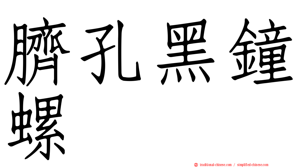 臍孔黑鐘螺