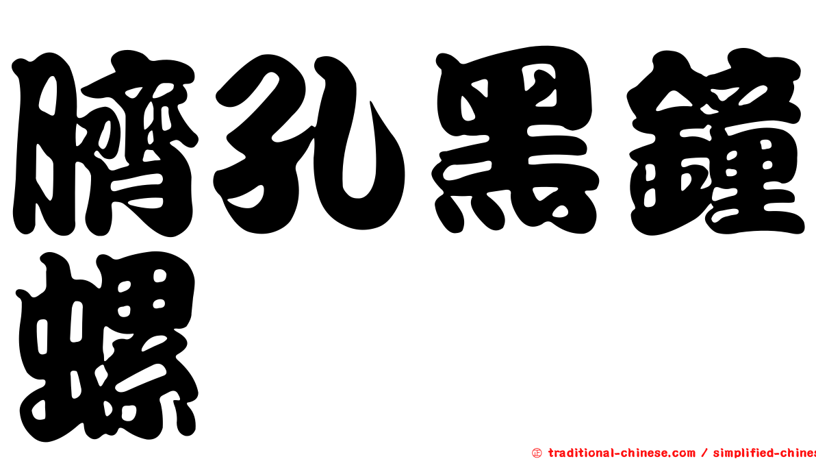 臍孔黑鐘螺