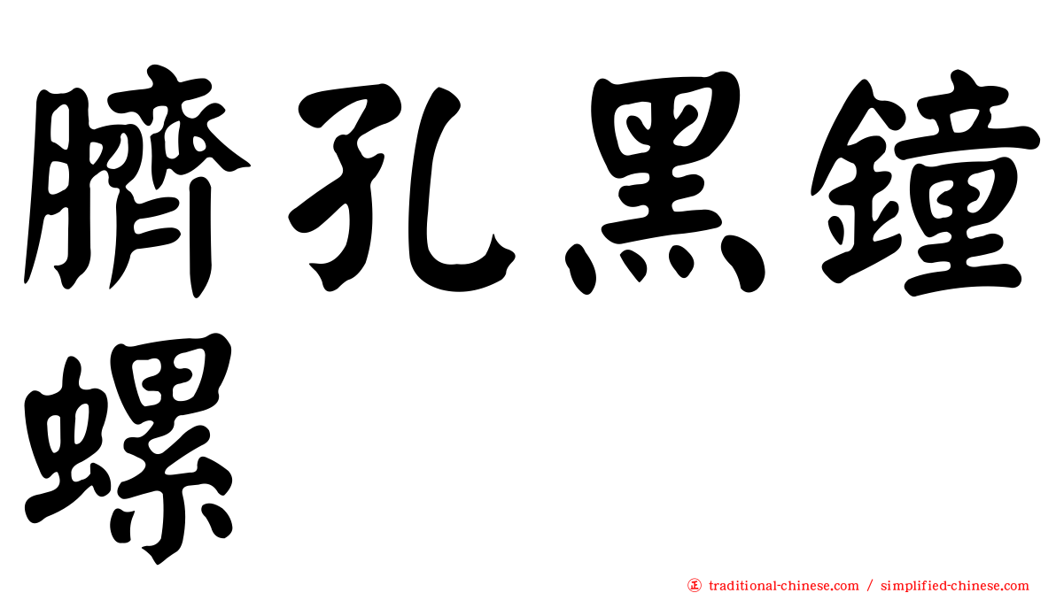 臍孔黑鐘螺