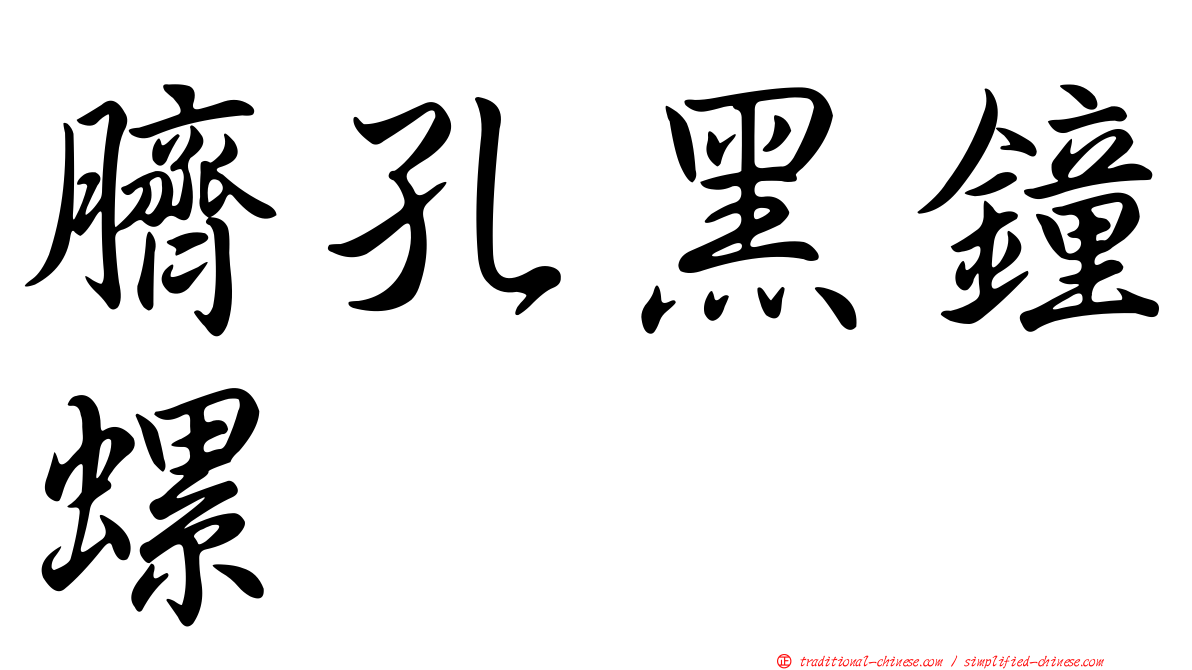 臍孔黑鐘螺
