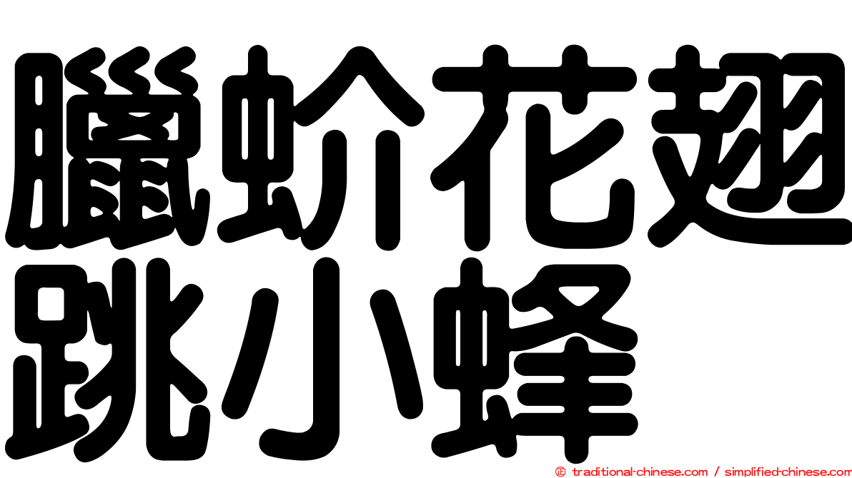 臘蚧花翅跳小蜂