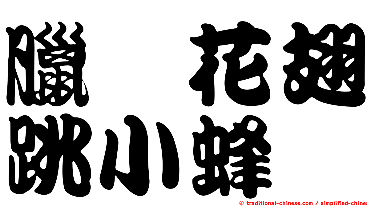 臘蚧花翅跳小蜂