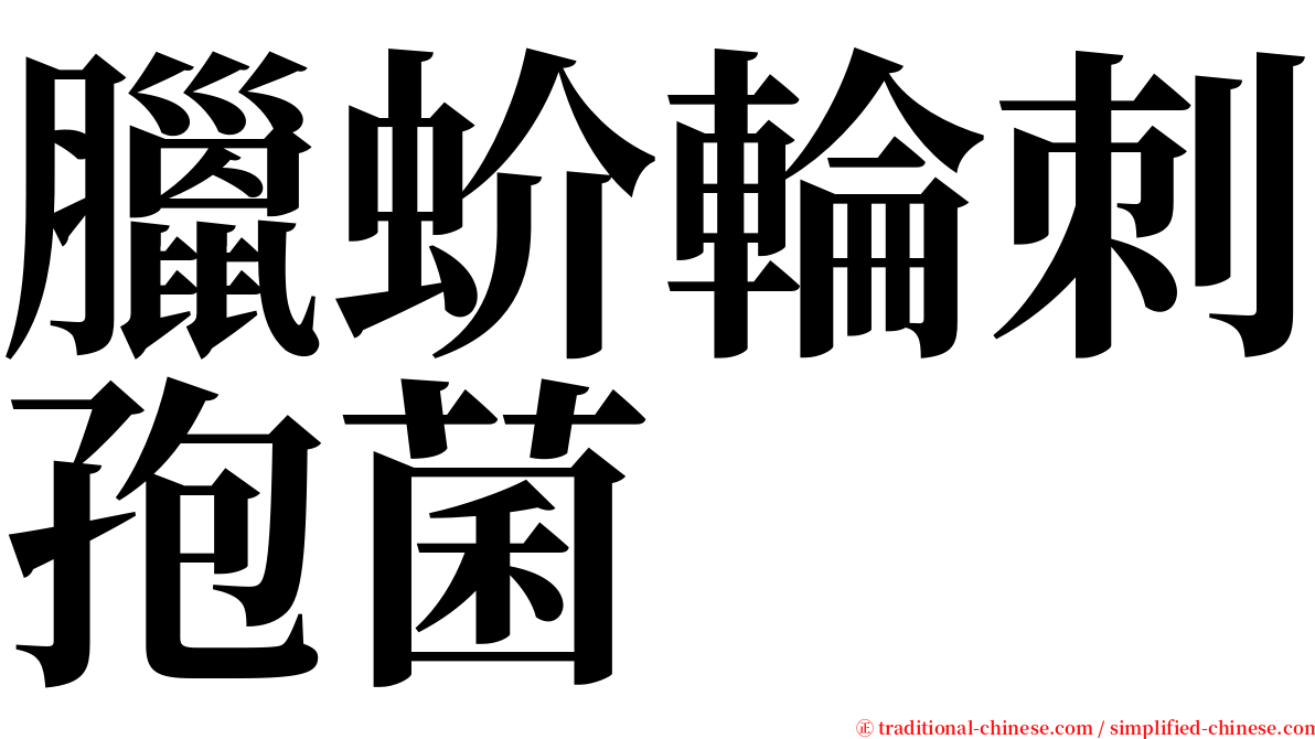 臘蚧輪刺孢菌 serif font