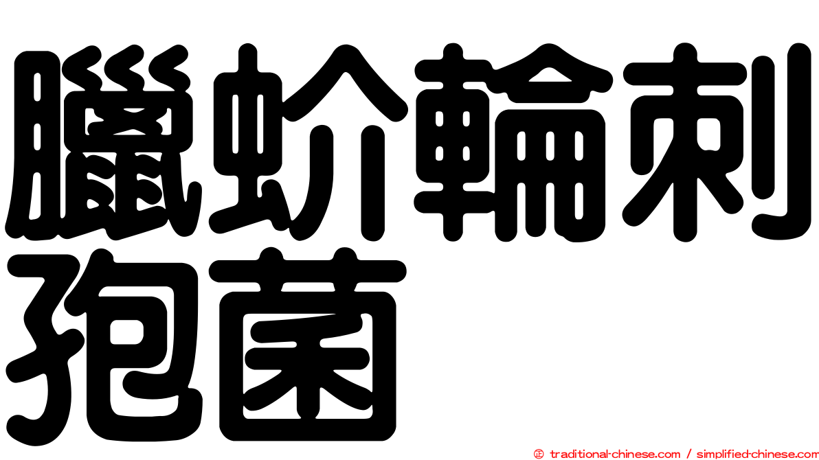 臘蚧輪刺孢菌