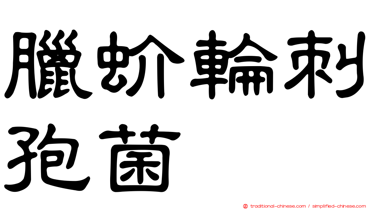 臘蚧輪刺孢菌