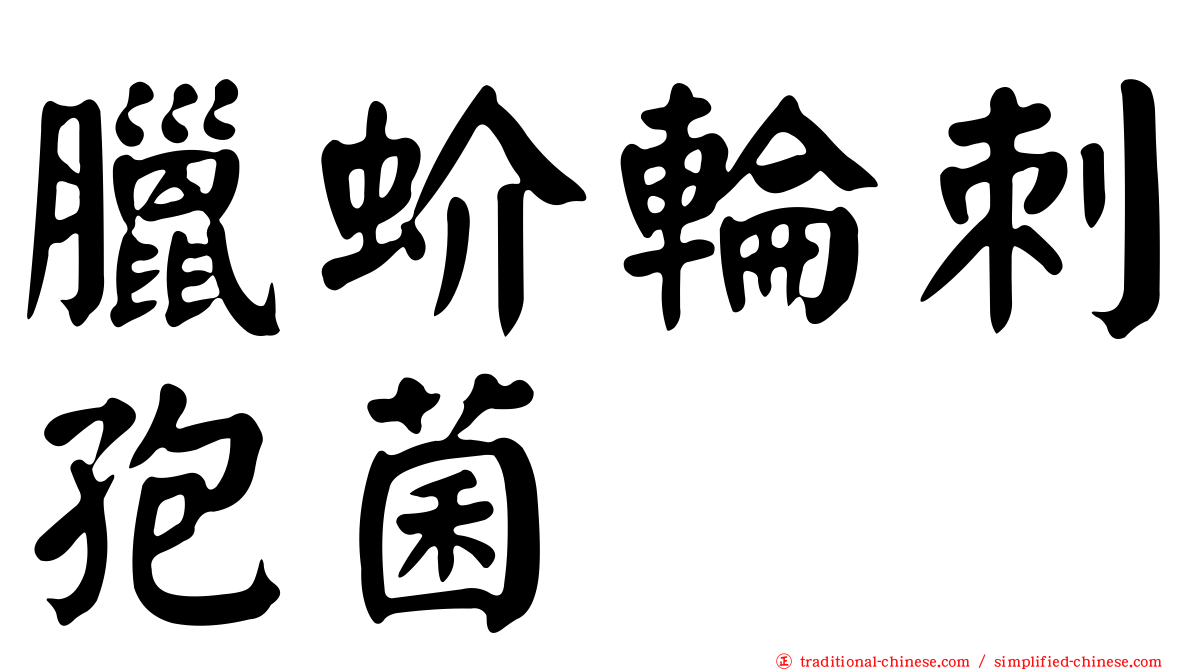 臘蚧輪刺孢菌