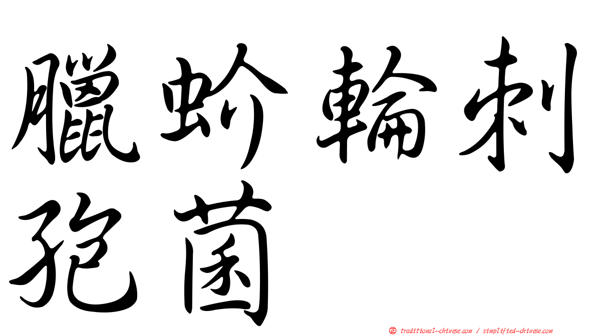 臘蚧輪刺孢菌