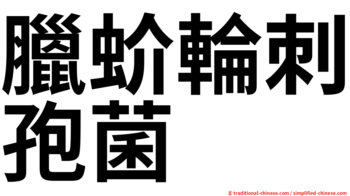 臘蚧輪刺孢菌