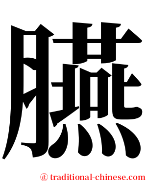 臙 serif font