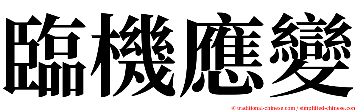 臨機應變 serif font