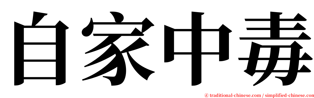 自家中毒 serif font