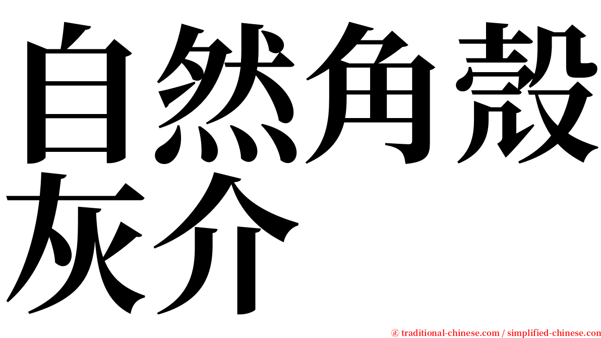自然角殼灰介 serif font
