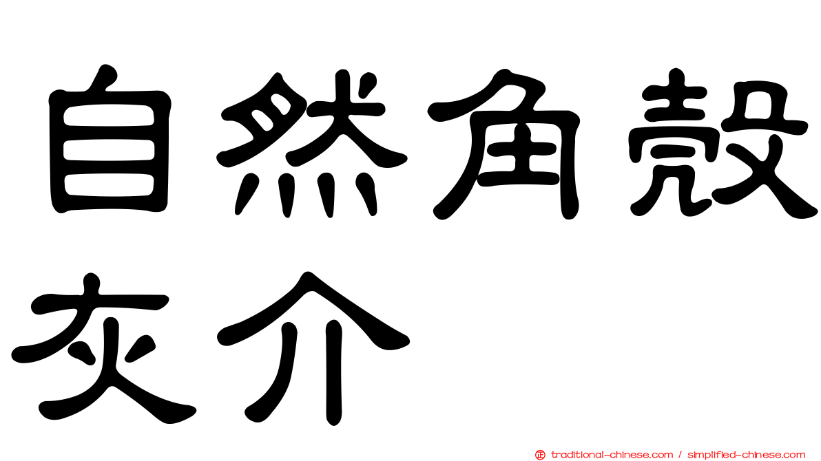 自然角殼灰介