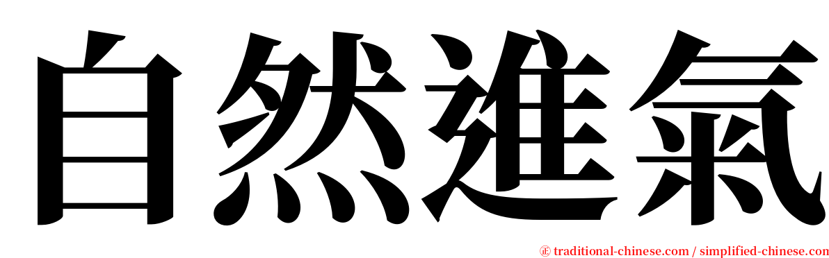 自然進氣 serif font