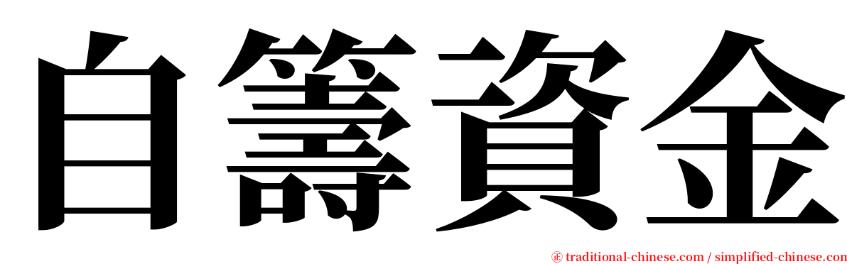 自籌資金 serif font