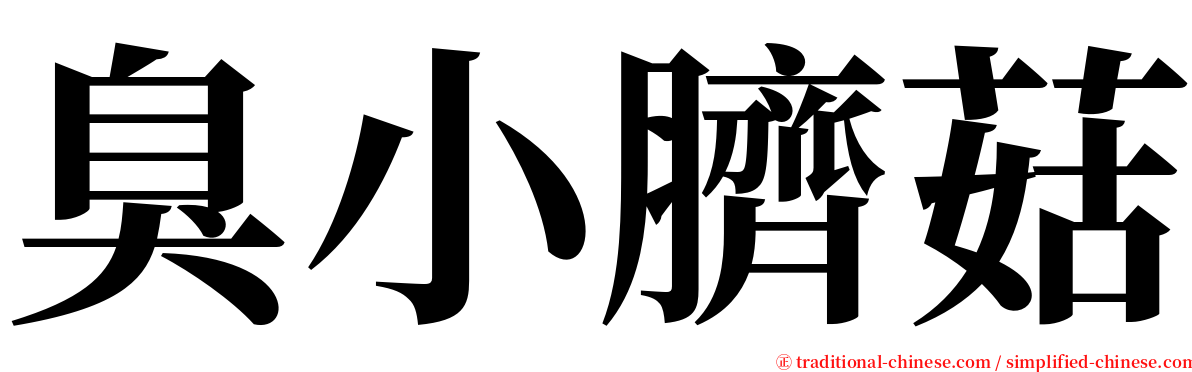 臭小臍菇 serif font