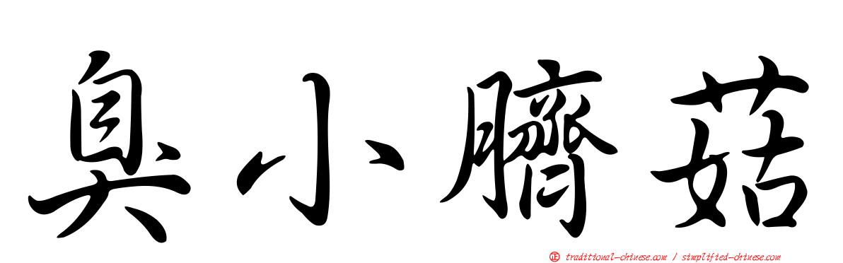 臭小臍菇