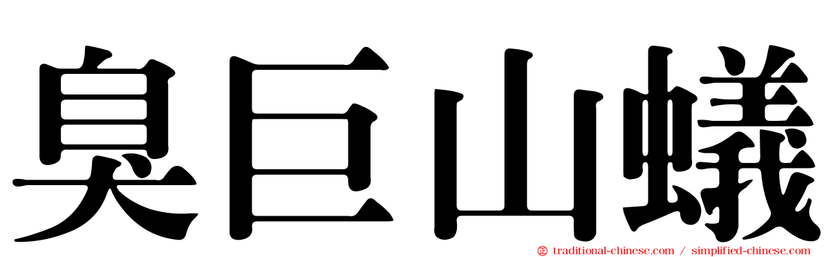臭巨山蟻