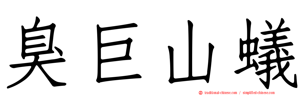 臭巨山蟻