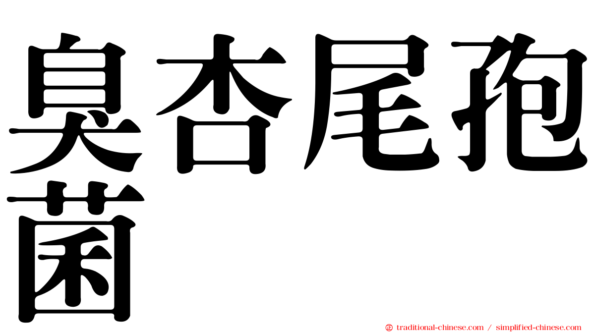 臭杏尾孢菌