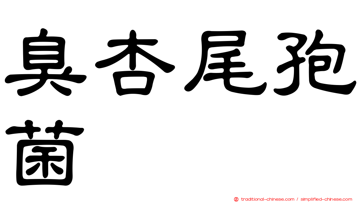 臭杏尾孢菌