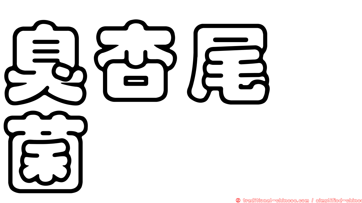 臭杏尾孢菌