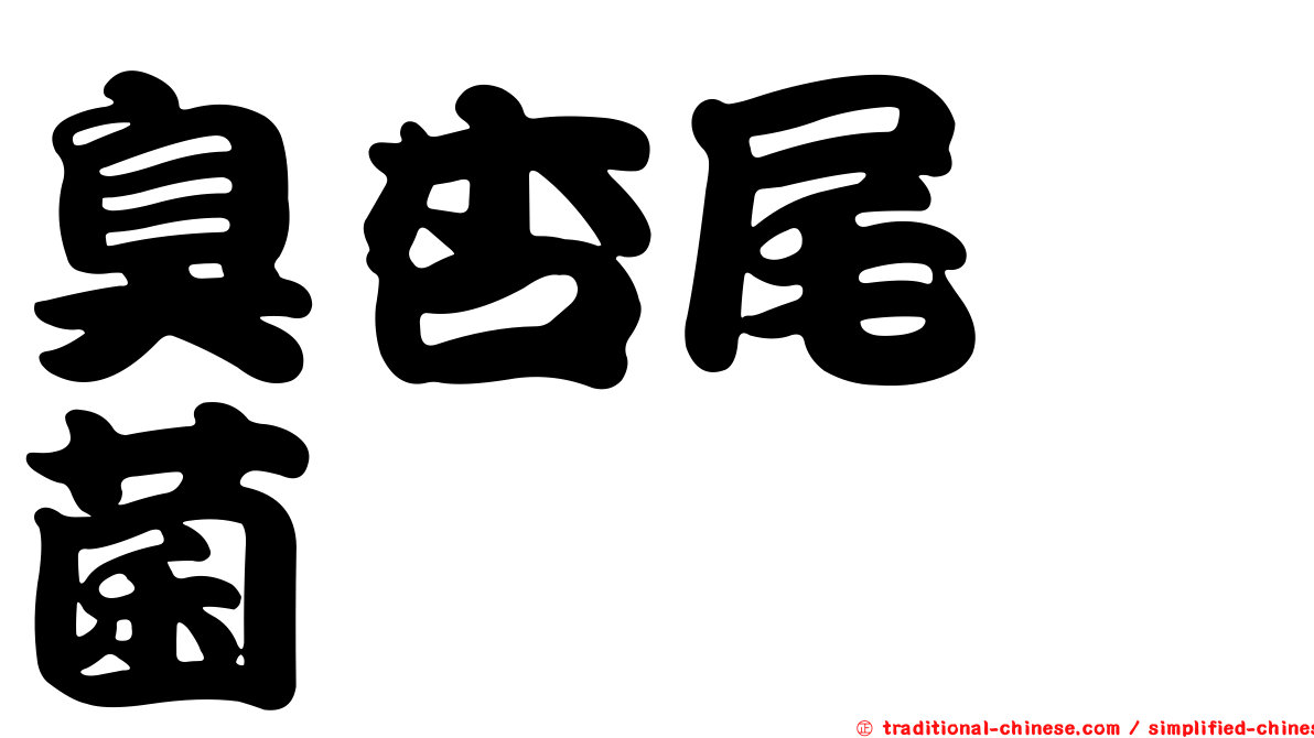 臭杏尾孢菌