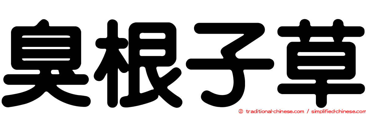 臭根子草