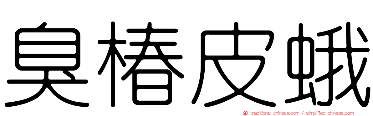 臭椿皮蛾