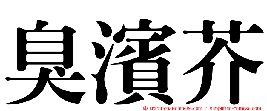 臭濱芥