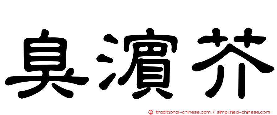 臭濱芥