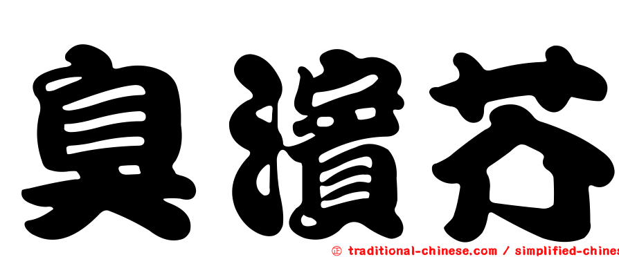 臭濱芥