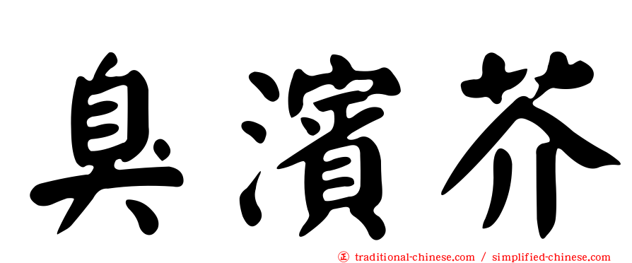 臭濱芥