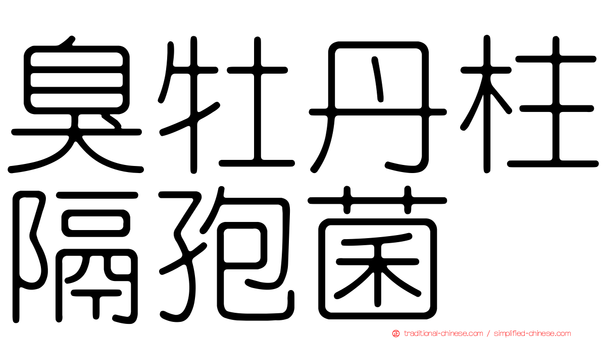 臭牡丹柱隔孢菌