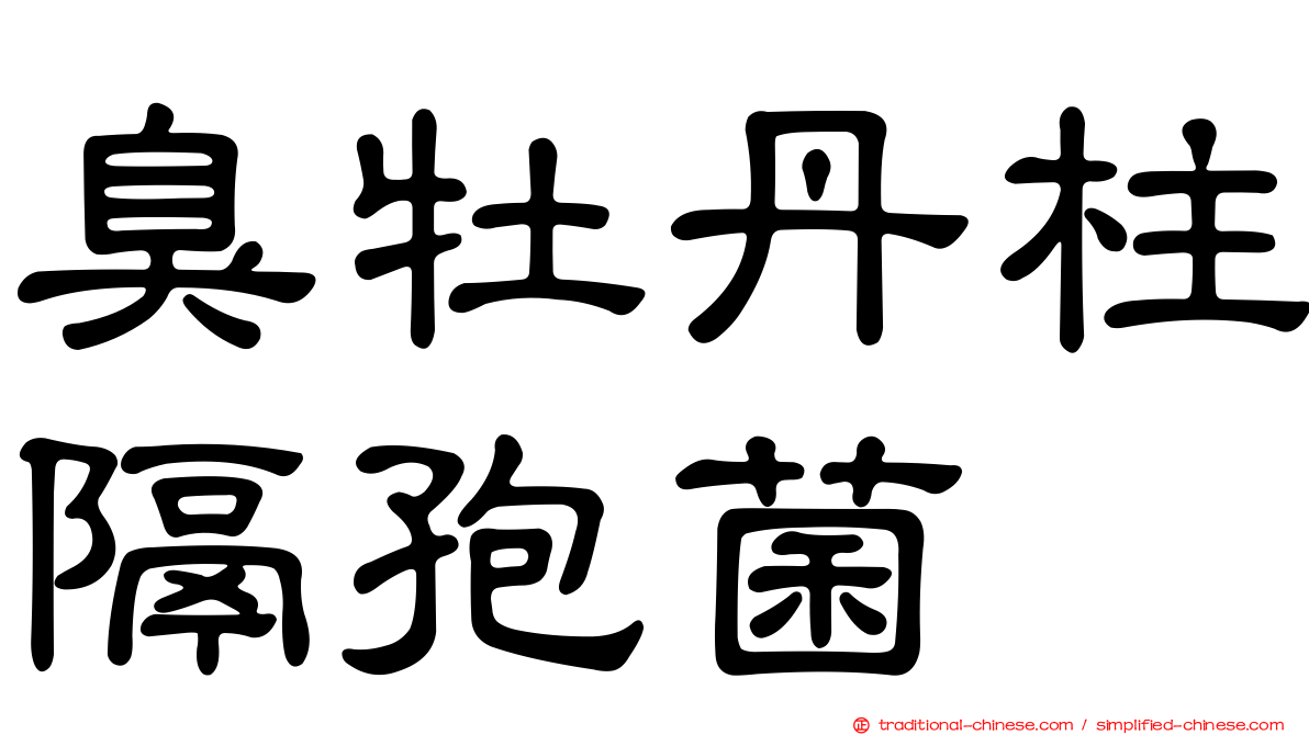 臭牡丹柱隔孢菌