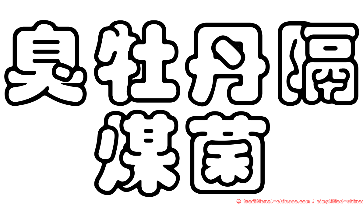 臭牡丹隔孢煤菌