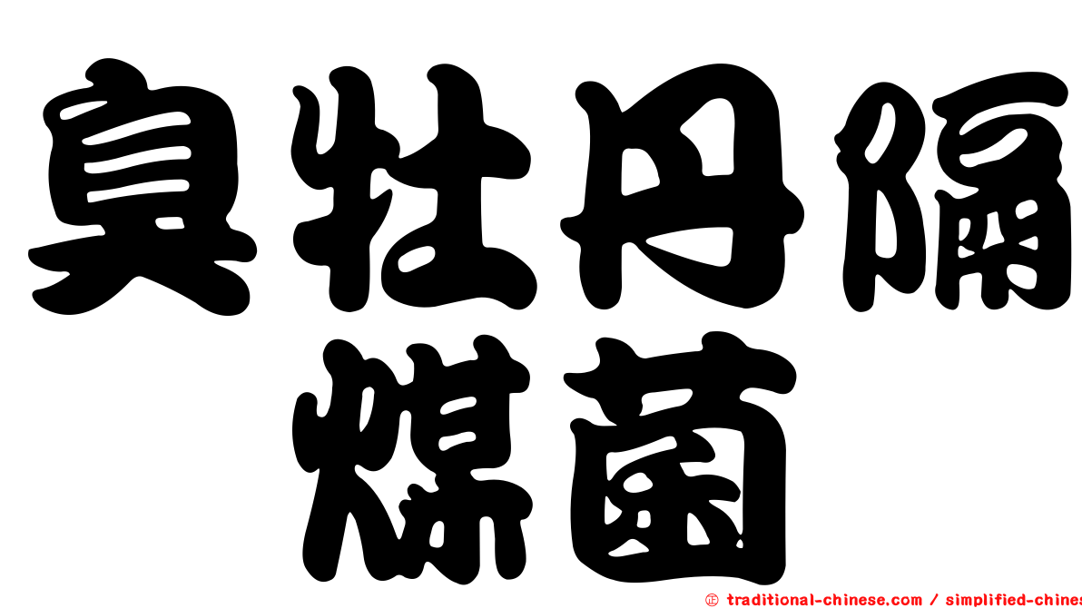 臭牡丹隔孢煤菌