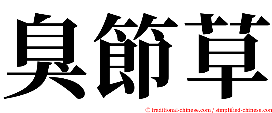 臭節草 serif font