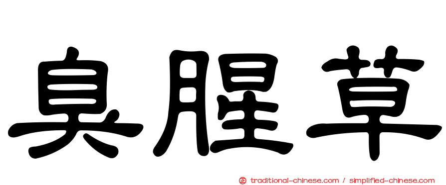 臭腥草