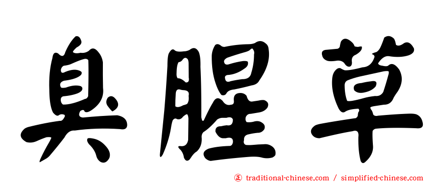 臭腥草