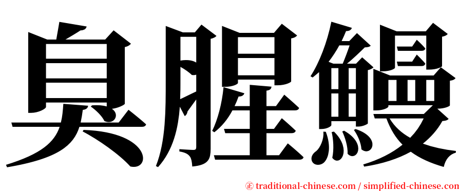 臭腥鰻 serif font